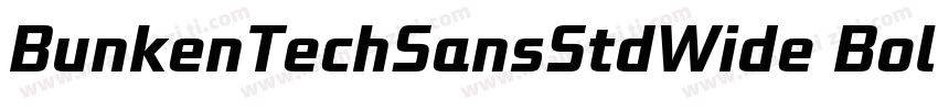 BunkenTechSansStdWide Bold字体转换